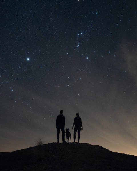 Влюбленные под звездами