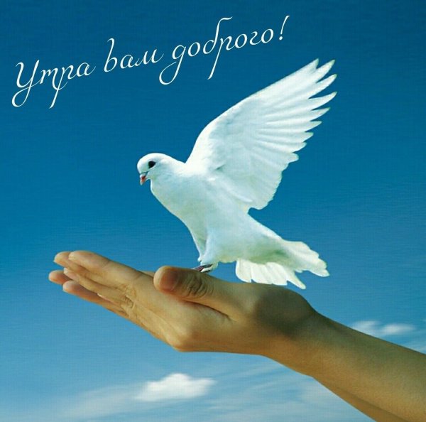 Доброе утро мирного неба над головой