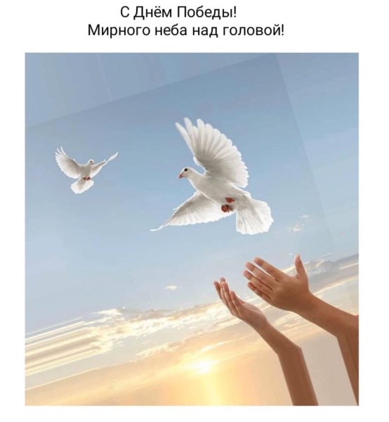 С добрым утром мирного неба