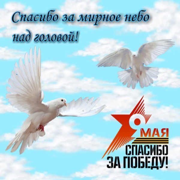 Пожелания мира и спокойствия