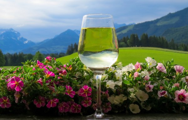 Винный бар «небо и вино»