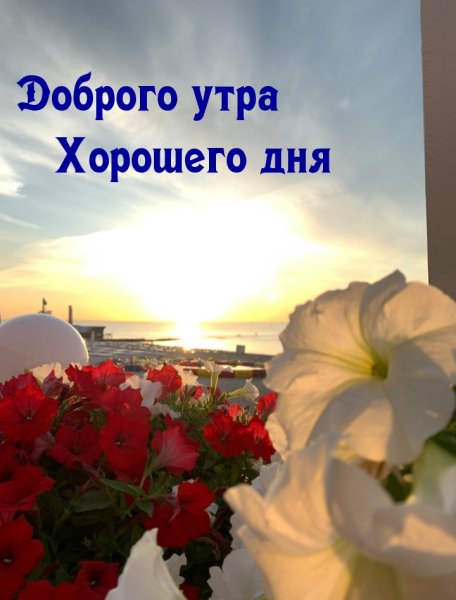 Мы за мир