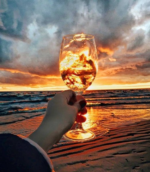 Вино на фоне природы