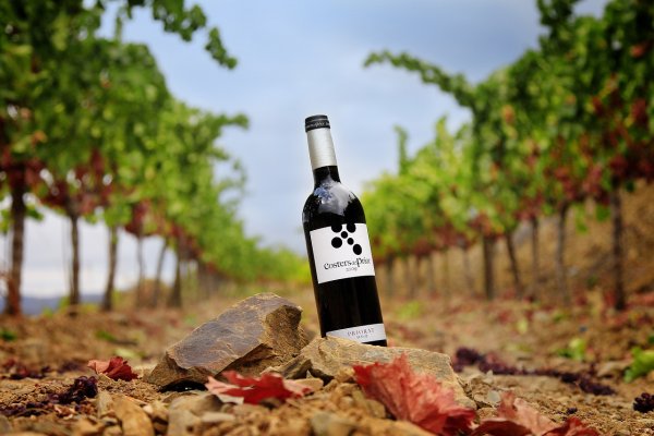 Красивая бутылка вина