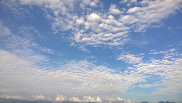 Небо Кучевые облака вид снизу