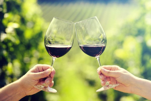 Равнинные холмы виноградники Крыма