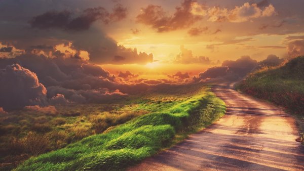 Светлая дорога