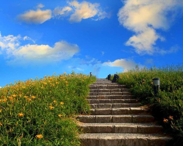 Лестница вверх природа