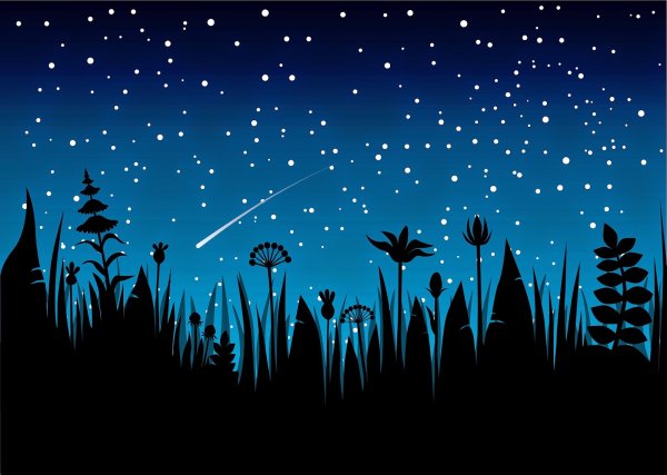 Звездное небо вектор