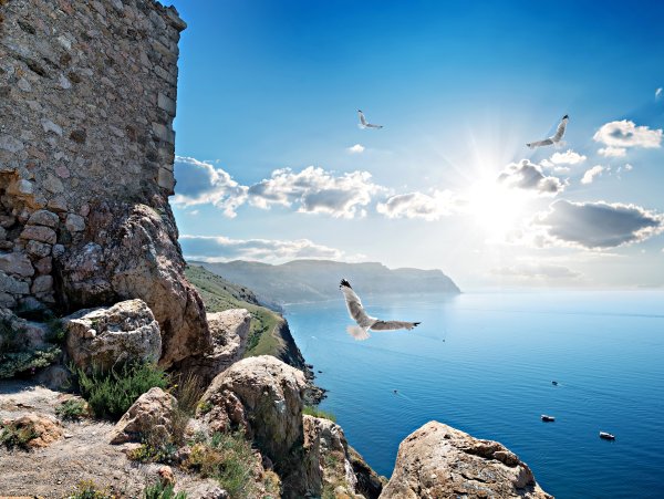 Скала Чайка Алупка