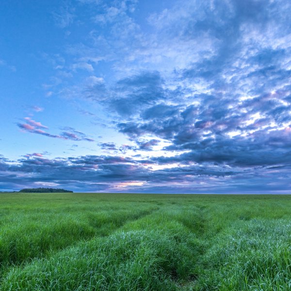 Летнее небо с облаками