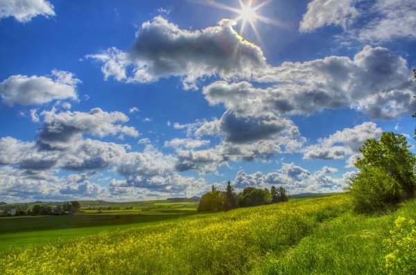 Небо с маленькими облаками