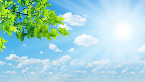 Поляна с небом для детей