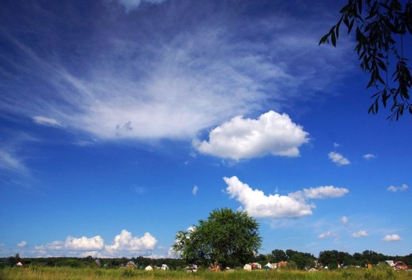 Облака небо поле цветы