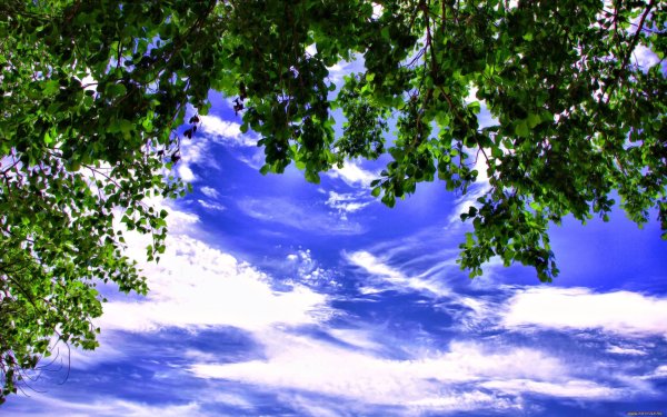 Красивое летнее небо