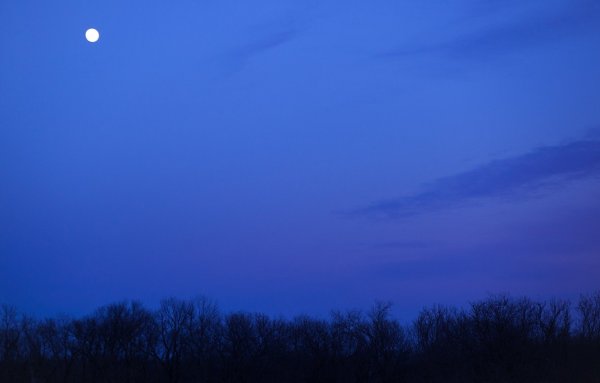 Темное синее небо