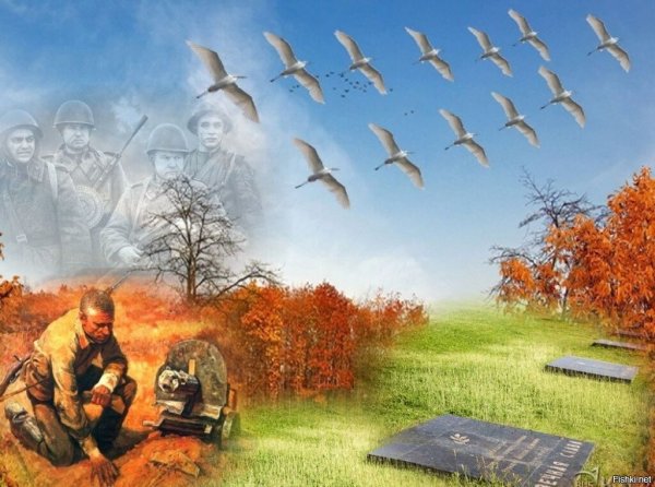 Журавли в небе война