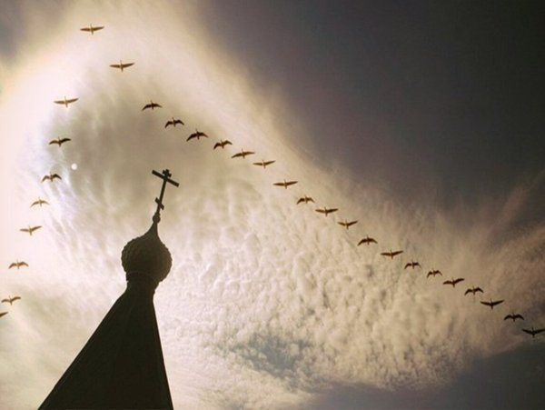 Солдат уходит в закат