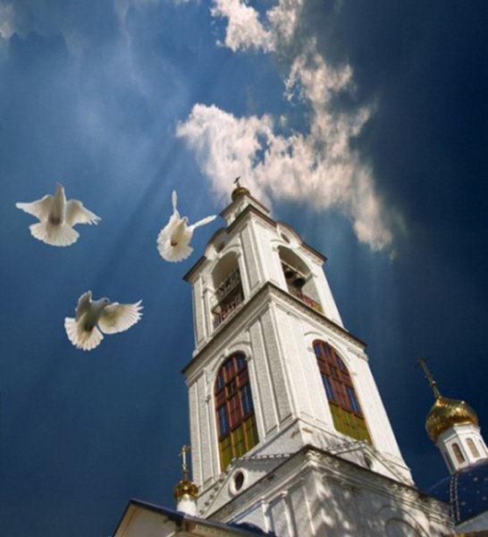 Голуби на колоколе