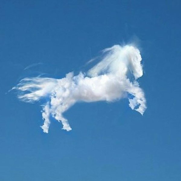 Облака похожие на животных