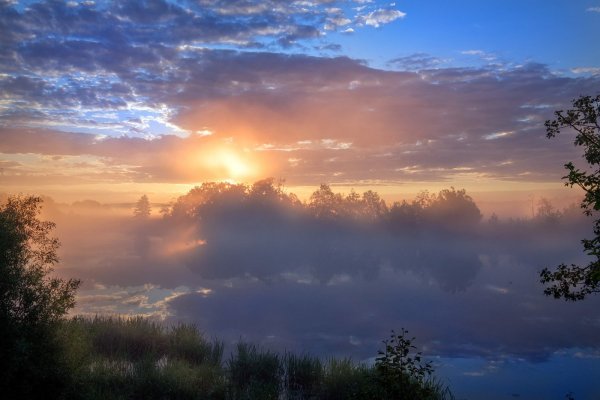 Лучи солнца