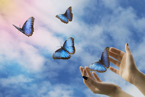 Бабочка улетает