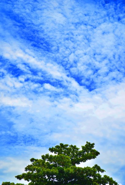 Светлое небо