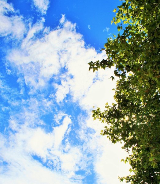 Облака вертикально