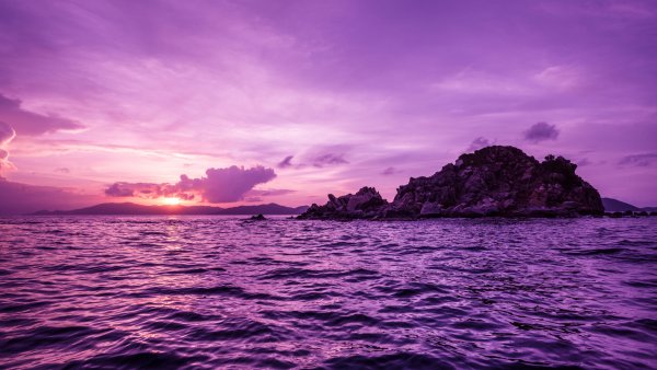 Фиолетовый пейзаж