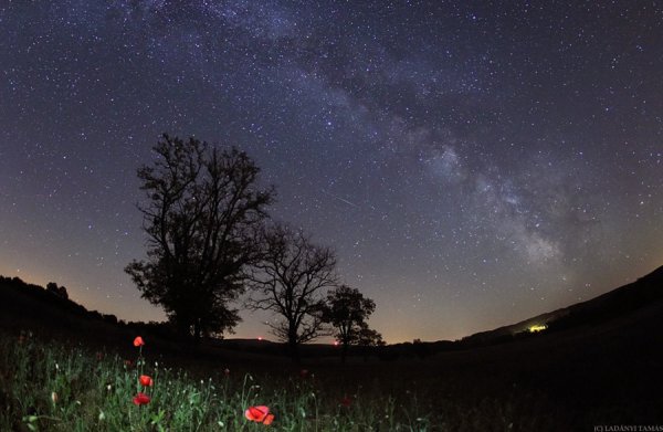 Майское ночное небо