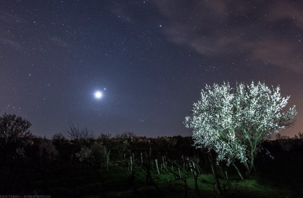 Майское звездное небо