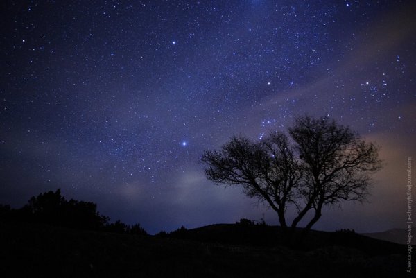 Звезды летом