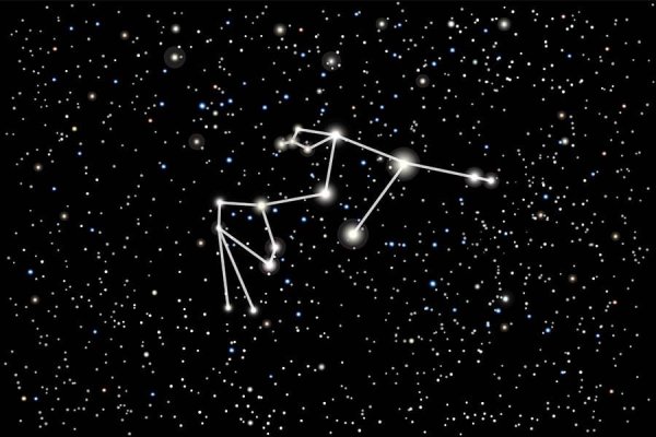 Холдинг Созвездие Водолея