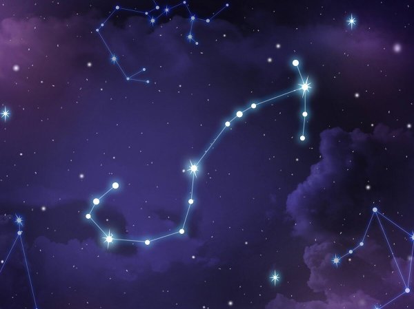 Фотография созвездия скорпиона