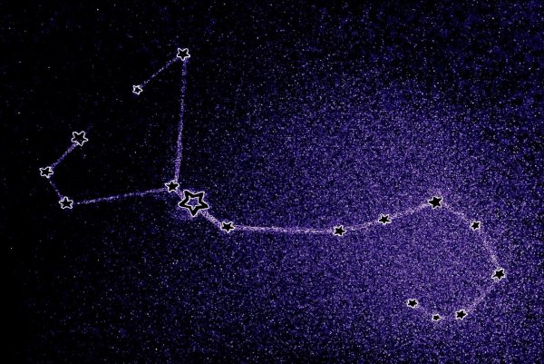 Скорпион (Scorpius) Созвездие