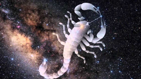 Зодиакальное Созвездие Скорпион