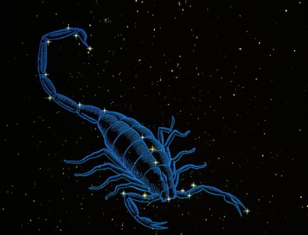 Зодиакальное Созвездие Скорпион