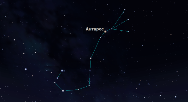 Созвездие скорпиона на небе