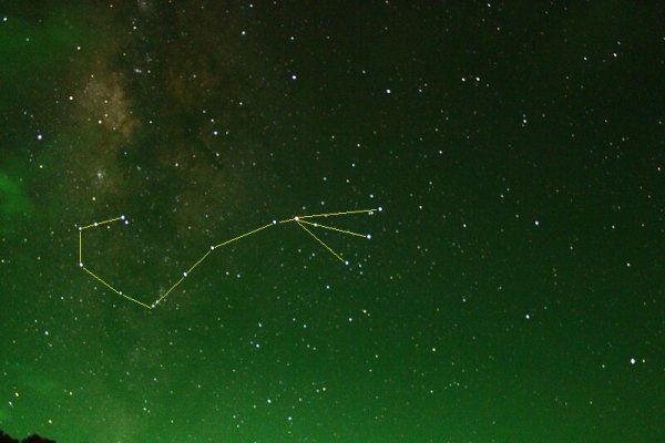 Созвездие Рысь звезды