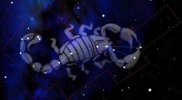 Зодиакальное Созвездие Скорпион