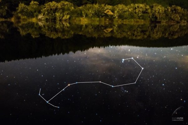 Созвездие скорпиона Саргас