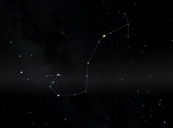 Скорпион знак Созвездие