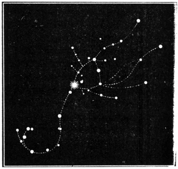 Астеризм созвездия скорпиона