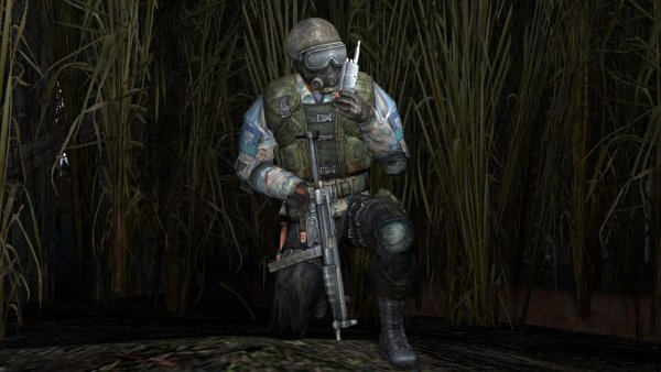 Сталкер группировка чистое небо арт