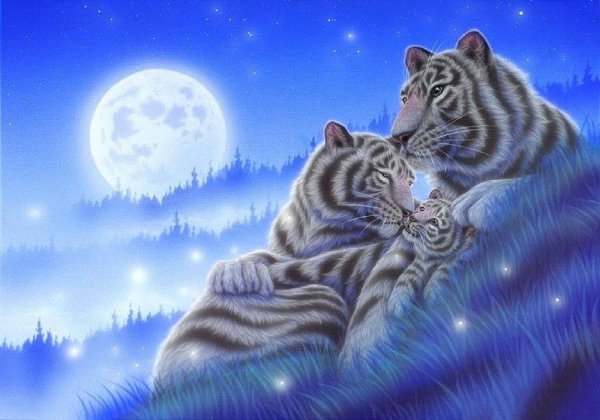 Кентаро Нишино