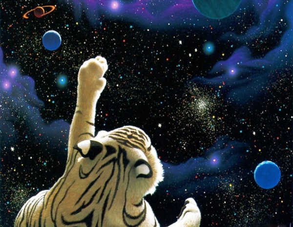 Животные в космосе