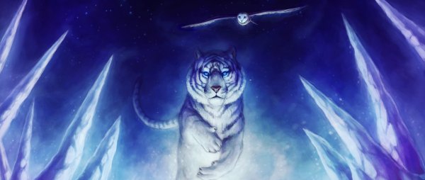 Снежный Барс и леопард