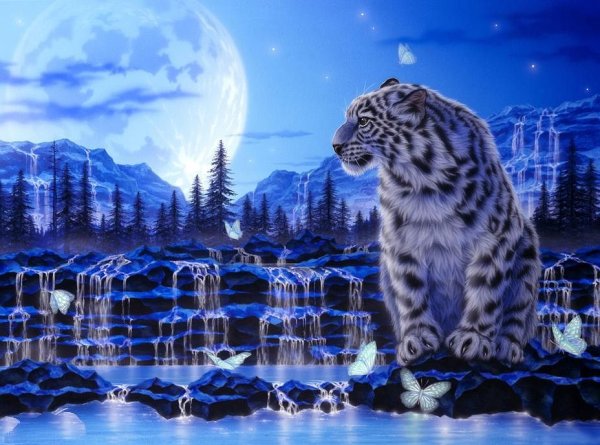 Новый 2022 год чёрного водяного тигра