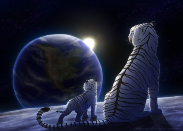 Тигр великан