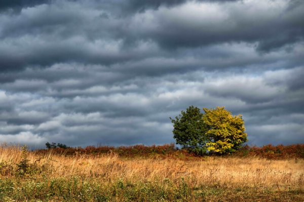 Хмурое небо
